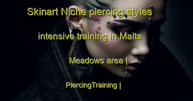 Skinart Niche piercing styles intensive training in Malta Meadows area | PiercingTraining | PiercingClasses | SkinartTraining-United States